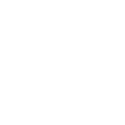 mvm